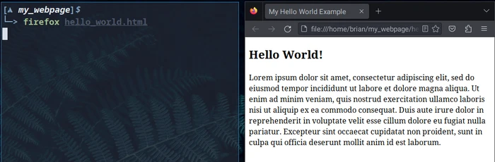 A rendering of a basic HTML page in the Firefox browser