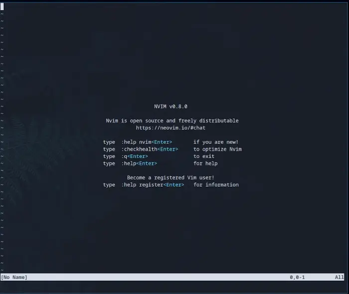 The Introduction Screen to Neovim